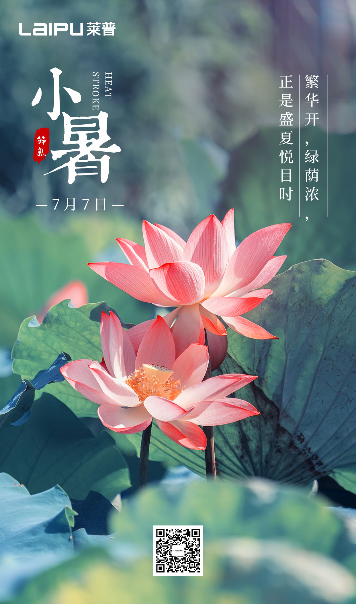 小暑丨小暑清和夏日長，蕾丝视频福利网站無煙風自涼