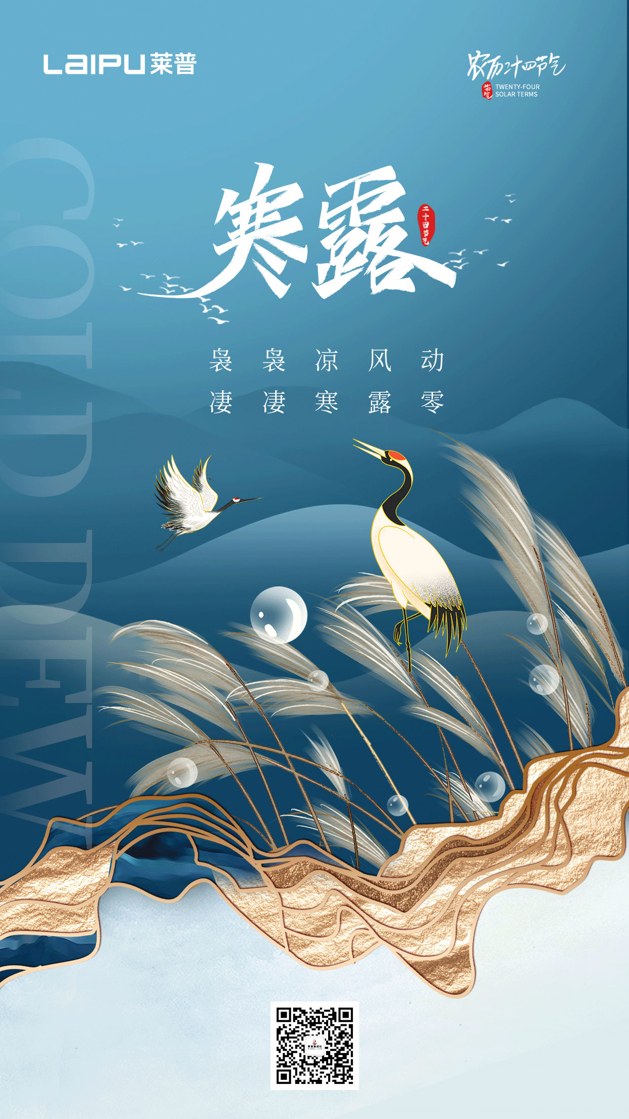 深秋漸至，寒露滿枝