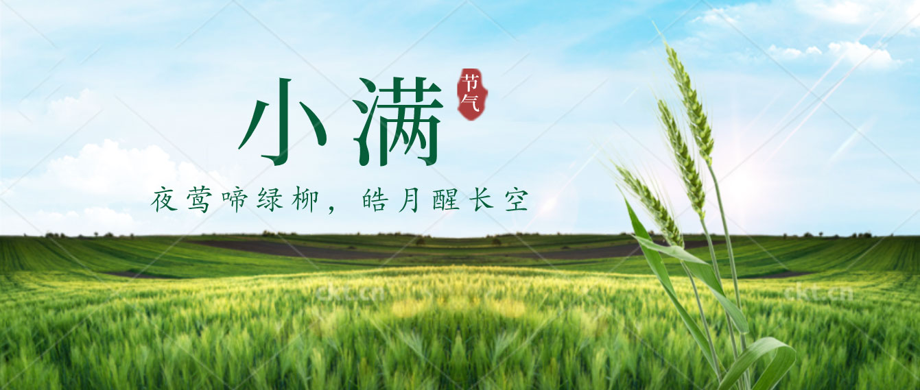 小滿已至，小得盈滿